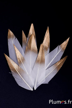 Federblüten - 6-8 x 2-3 cm - weiß-gold Splitter